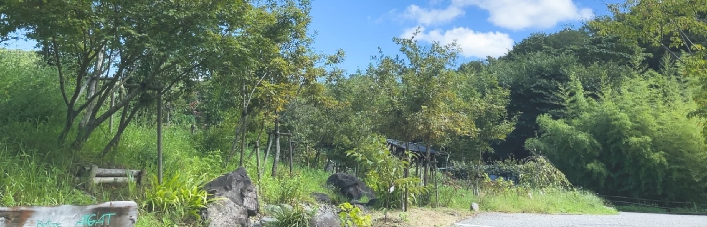 和歌山ののどかな風景